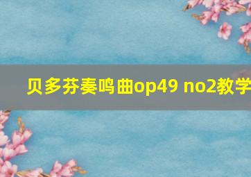 贝多芬奏鸣曲op49 no2教学